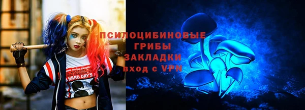мдпв Заволжск