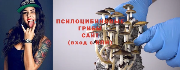 мдпв Заволжск