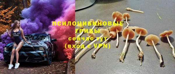 мдпв Заволжск