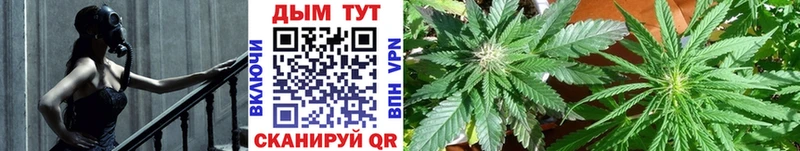 закладки  ссылка на мегу   Марихуана SATIVA & INDICA  Черкесск 